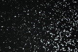 Fototapeta Na sufit - White snow falling down on black background