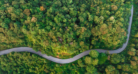 Wall Mural - Aerial view of road in the middle of the forest , Top view road curve construction up to mountain, Rainforest ecosystem and healthy environment concept
