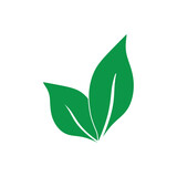 Fototapeta Na ścianę - leaf logo icon