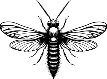 Owlfly Ascalaphidae Icon 15