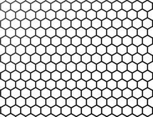 Hexagon Beehive honeycomb pattern wall black and white
