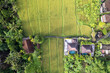aerial view of field in indonesia