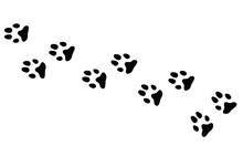 Dog Track Paw Print, Black On White , Graphic Design Doodle Style, Minimalistic  , Domestic Pet Puppy Cute Animal For Different Design Uses , Card , Book , Banner ,tattoo , Fabric Or Other Design 