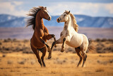 Fototapeta Konie - Jumping brown and white stallions in field. Generative AI