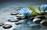 Fototapeta Desenie - spa stones and blue lily, lotus flower