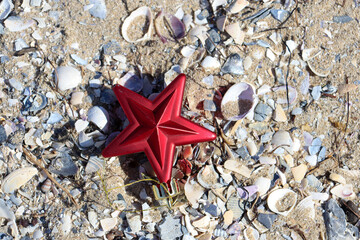 red christmas star decoration amongst shells on beach sand