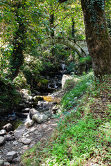 Poster - travel to Georgia - Mirveti Arch Bridge over ravine (bridge of Queen Tamar in Mirveti) in Adjara on autumn day. The bridge was probably built in the 11th-13th centuries