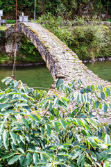 Wall Mural - travel to Georgia - Tskhemlara stone arch bridge in Tskhemlara village in Adjara on autumn day