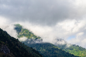 Sticker - travel to Georgia - gray clouds lie on tops of mountains in Machakhela national park in Adjara on autumn day