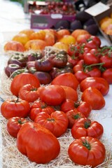 Canvas Print - Nice. French market. Tomatoes. Tomato background. Tomatoes sold in the fresh market.