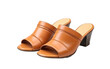 Women's Mules On Isolated Background