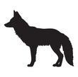 © Alihsan 101 - fox silhouette on white background  isolated vector.