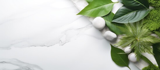Aufkleber - Organic skincare concept with green leaves and white stone background Copy space image Place for adding text or design