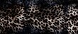 Black spotted animal fur pattern s history Copy space image Place for adding text or design