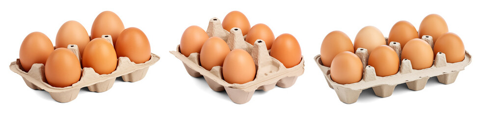 Collection set of egg trays isolated on transparent or white background, png