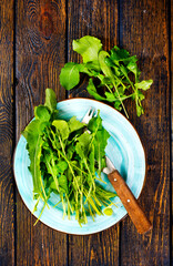 Canvas Print - Fresh arugula leaves, green rucola