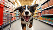 Puppy joyfully shops for pet supplies in a vast superstore.generative ai