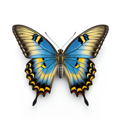 Wall Mural - Bright Blue Butterfly Isolated on Clean White Background