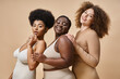 © LIGHTFIELD STUDIOS - happy multiracial plus size girlfriends in lingerie smiling on beige backdrop, body positive beauty