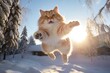 an orange and white cat jumping in the air