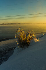 Wall Mural - sunset on the beach