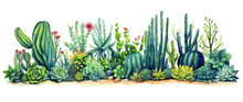 Plant Mexican Flower Cactus Desert Floral Succulent Background Green Watercolor Botanical Nature