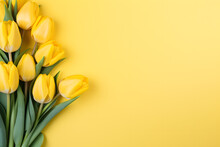 Yellow Tulip Flowers On Side Of Light Yellow Background With Copy Space