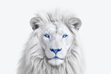 Fototapeta Na sufit - lion isolated on white background