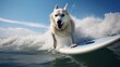White german shepherd dog surfing boat sea beach picture AI Generated art