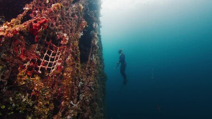 Poster - Freediver glides underwater near the coral reef in Raja Ampat, Indonesia. Underwater view of the person exploring diverse coral reefs in West Papua, Indonesia