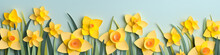 Paper Cut Craft Daffodil Flowers Background Banner
