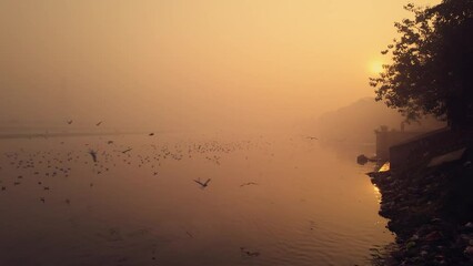 Canvas Print - Scenic Yamuna Ghat of New Delhi, India