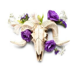 Wall Mural - Composition with skull of sheep and beautiful flowers on white background