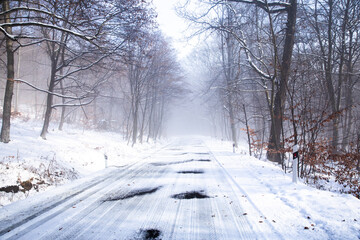 Poster - beautiful winter landscape in the forest,Armenia