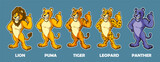 Fototapeta Pokój dzieciecy - lion puma lioness tiger panther leopard cartoon mascot set