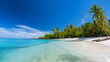 Lush tropical island white sandy beaches clear blue sky --ar 16:9 --v 5.2 --style raw