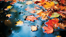 Autumn Leaves In Water