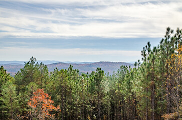 Wall Mural - fall mountain veiwed across the valley