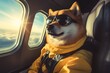 Digital Currency Adventure: Dogecoin Doge Traveling to the Stars in a Rocket