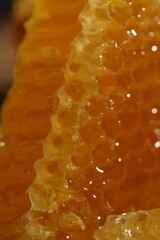 Wall Mural - Closeup view of natural honeycomb with sweet honey as background