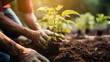 People planting trees or working in community garden promoting local food production and habitat restoration, concept of Sustainability and Community Engagement. Generative Ai