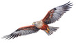 Red kite in flight against clear isolated on transparent PNG background, Generative ai