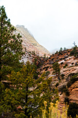 Poster - Zion national park 