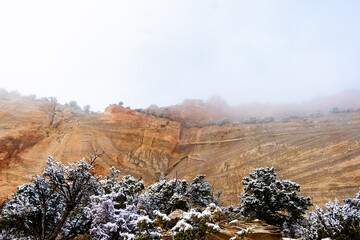 Poster - Zion national park 