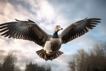 A Goose In Flight