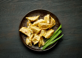 Canvas Print - plate of asian dumplings