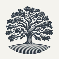 Wall Mural - Oak tree. Vintage woodcut engraving style vector illustration.