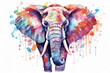 Drawing african design illustration animal watercolor wildlife nature mammal safari background elephant