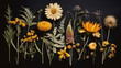Herbarium of different flowers and plants on a dark background. Floral art.
