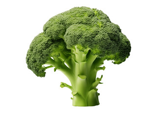 Fresh broccoli isolated on transparent background